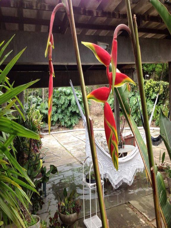 Braunes Guest House Nova Friburgo Bagian luar foto