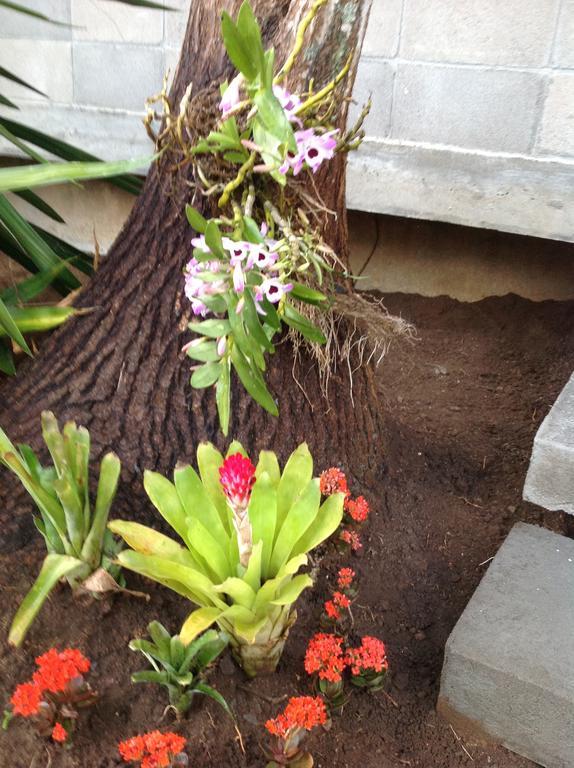 Braunes Guest House Nova Friburgo Bagian luar foto