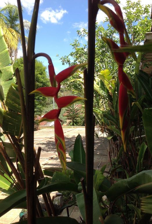 Braunes Guest House Nova Friburgo Bagian luar foto